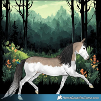 Horse Color:Brown Dun Splash