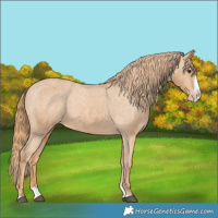 Horse Color:Chestnut Splash Varnish
