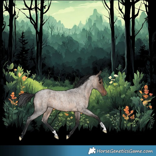 Horse Color:Brown Roan Dun Appaloosa 