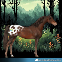 Horse Color:Liver Chestnut Appaloosa Rabicano 