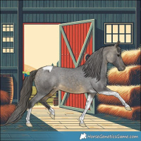 Horse Color:Buckskin Tobiano Appaloosa Rabicano 