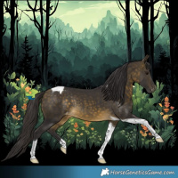 Horse Color:Buckskin Tobiano Appaloosa Rabicano