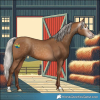 Horse Color:Gray Silver Sable Champagne 