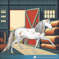 Horse Color:White Spotted Perlino Splash Tobiano