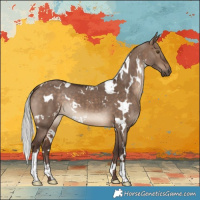 Horse Color:White Spotted Silver Brown Dun 