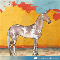 Horse Color:White Spotted Silver Brown Dun 