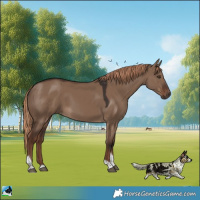 Horse Color:Liver Red Dun Tobiano