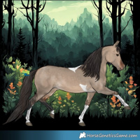 Horse Color:Bay Dun Tobiano 