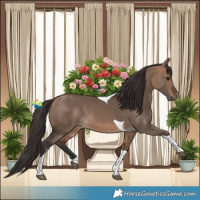 Horse Color:Bay Dun Tobiano 