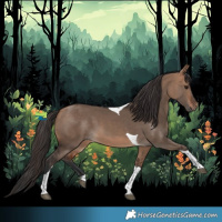 Horse Color:Bay Dun Tobiano 