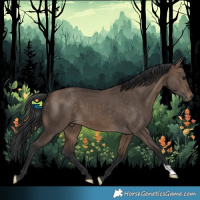 Horse Color:Bay Dun 