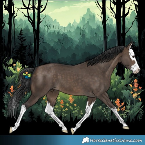 Horse Color:Brown Dun Splash 