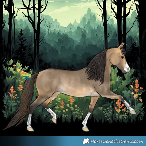 Horse Color:Buckskin Dun Rabicano 