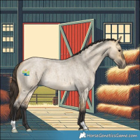 Horse Color:Buckskin Roan Dun 