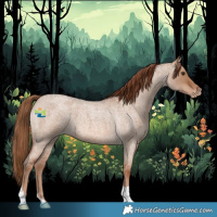 Horse Color:Red Dun Roan Varnish 