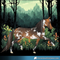 Horse Color:White Spotted Buckskin