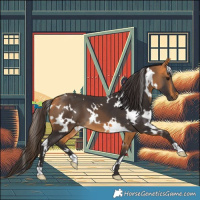 Horse Color:White Spotted Buckskin 