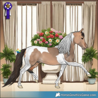 Horse Color:Bay Dun Tobiano