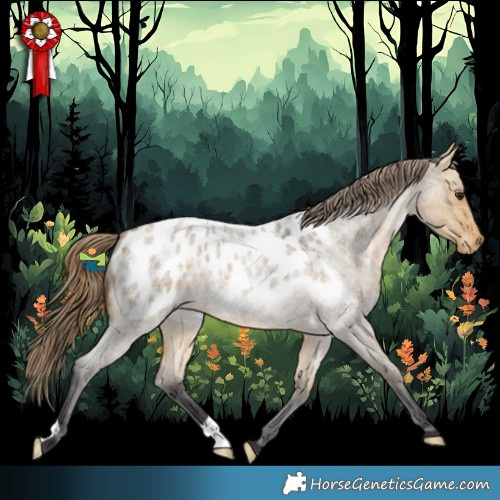 Horse Color:Buckskin Roan Dun Appaloosa 