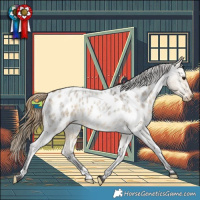 Horse Color:Buckskin Roan Dun Appaloosa 