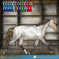 Horse Color:Buckskin Roan Dun Blanket 
