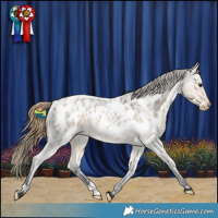 Horse Color:Buckskin Roan Dun Appaloosa 