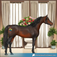 Horse Color:Bay Rabicano 