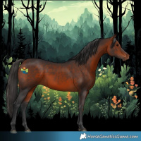 Horse Color:Bay Rabicano 