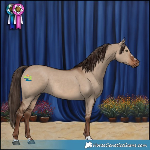 Horse Color:Liver Red Dun Rabicano 