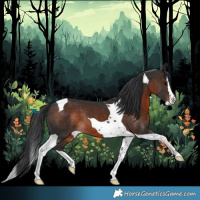Horse Color:Brown Splash Tobiano Rabicano