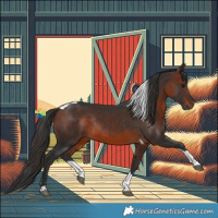 Horse Color:Brown Tobiano Rabicano 
