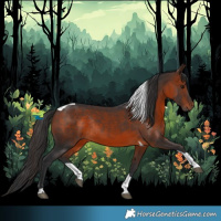 Horse Color:Brown Tobiano Rabicano 