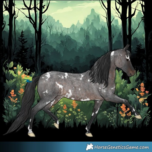 Horse Color:White Spotted Brown Roan Rabicano