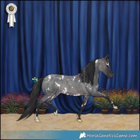 Horse Color:White Spotted Brown Roan Rabicano 