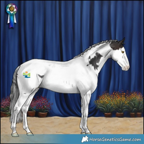 Horse Color:White Spotted Brown Splash Tobiano Rabicano 