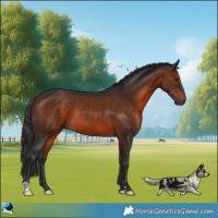 Horse Color:Brown Rabicano 