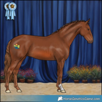 Horse Color:Chestnut 