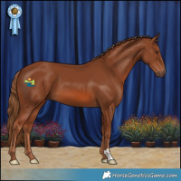 Horse Color:Chestnut 