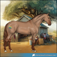 Horse Color:Red Dun 