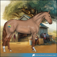Horse Color:Red Dun 