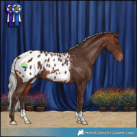 Horse Color:Silver Bay Blanket 