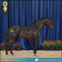 Horse Color:Brown 