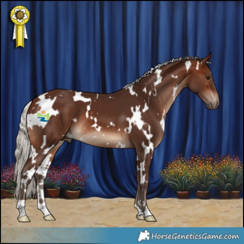 Horse Color:White Spotted Silver Brown 