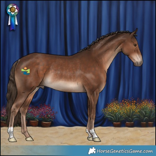 Horse Color:Liver Chestnut Rabicano 