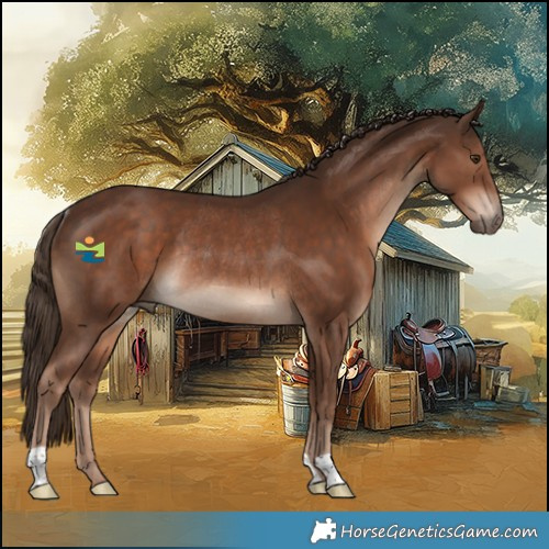 Horse Color:Liver Chestnut Rabicano 