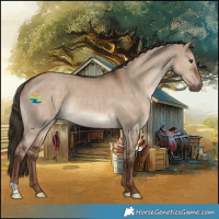 Horse Color:Liver Red Dun 