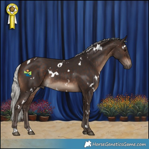 Horse Color:White Spotted Silver Brown Rabicano 