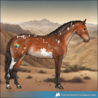 Horse Color:White Spotted Bay Rabicano