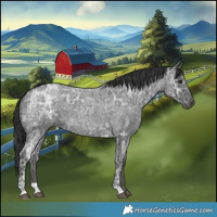 Horse Color:Blue Ice Roan 