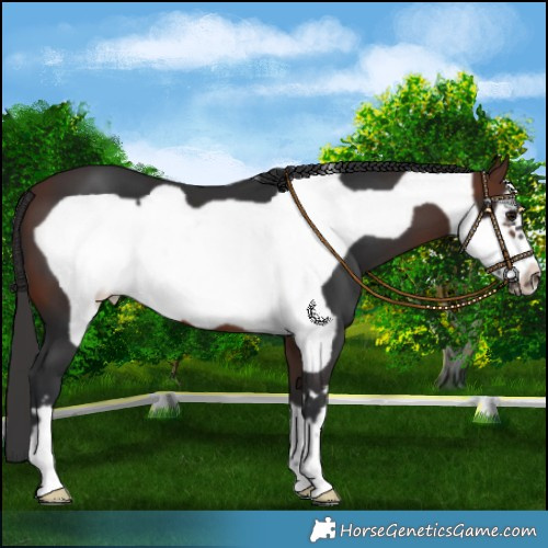 Horse Color:Brown Frame 